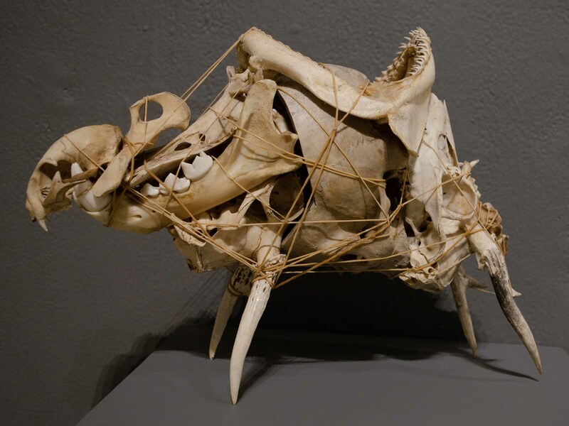 De la serie Juguete Popular. 2023.